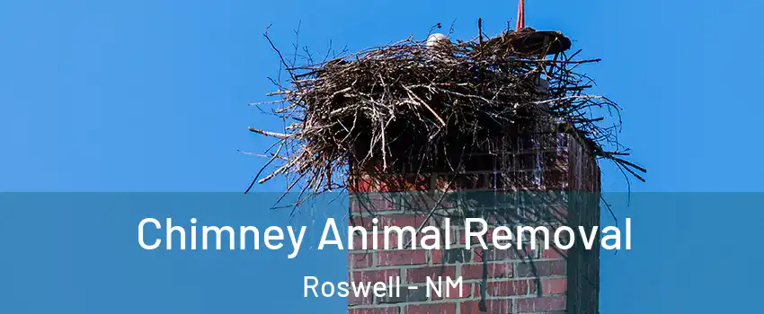  Chimney Animal Removal Roswell - NM