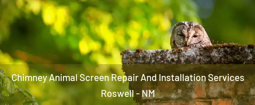  Chimney Animal Screen Repair And Installation Services Roswell - NM