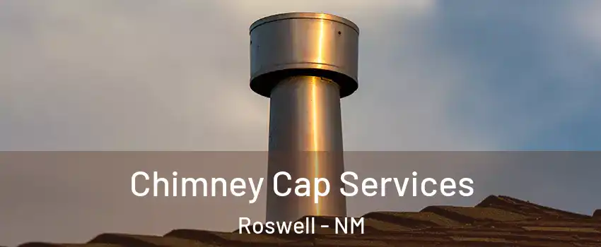  Chimney Cap Services Roswell - NM