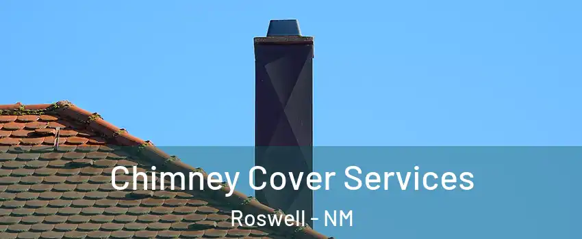  Chimney Cover Services Roswell - NM