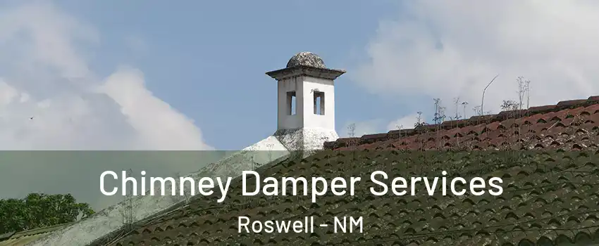  Chimney Damper Services Roswell - NM