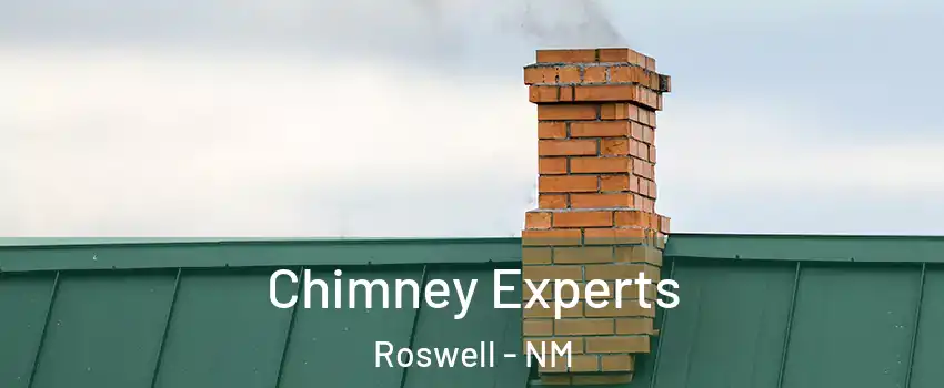  Chimney Experts Roswell - NM