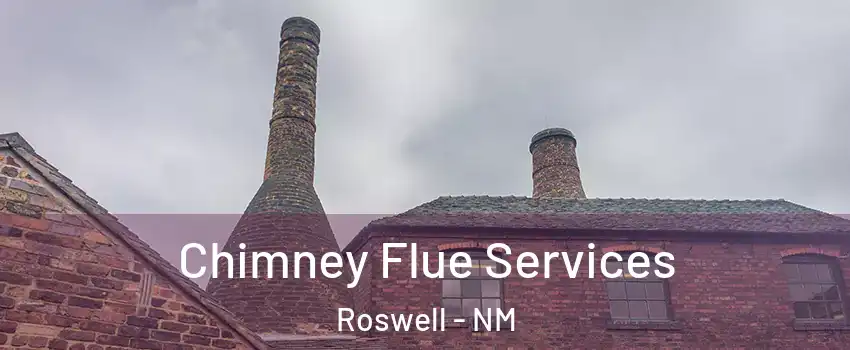  Chimney Flue Services Roswell - NM