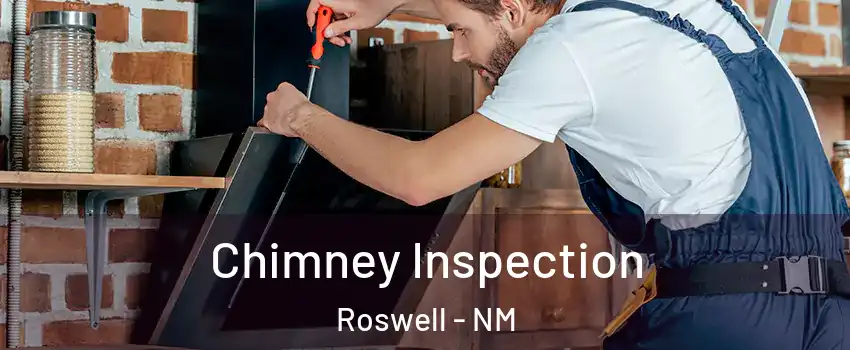  Chimney Inspection Roswell - NM