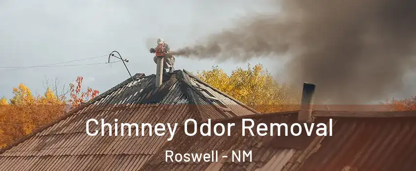  Chimney Odor Removal Roswell - NM