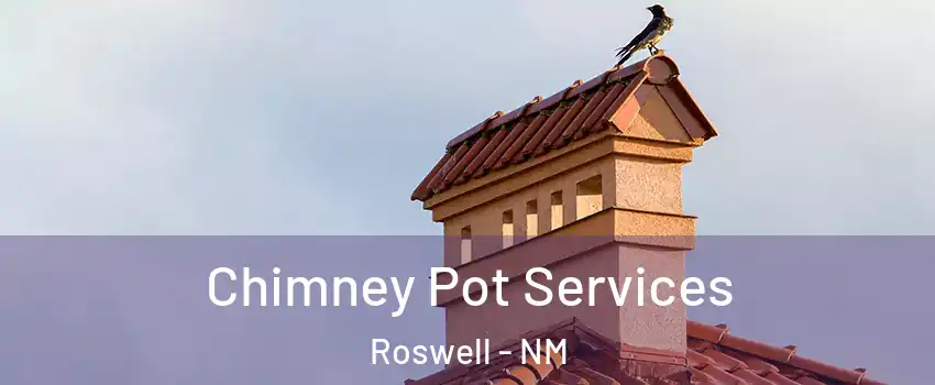  Chimney Pot Services Roswell - NM