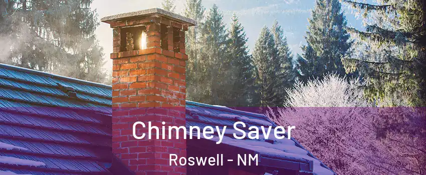  Chimney Saver Roswell - NM