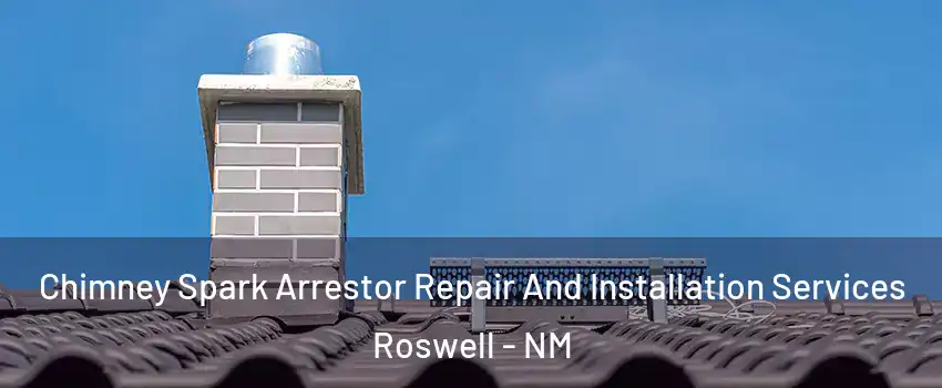  Chimney Spark Arrestor Repair And Installation Services Roswell - NM