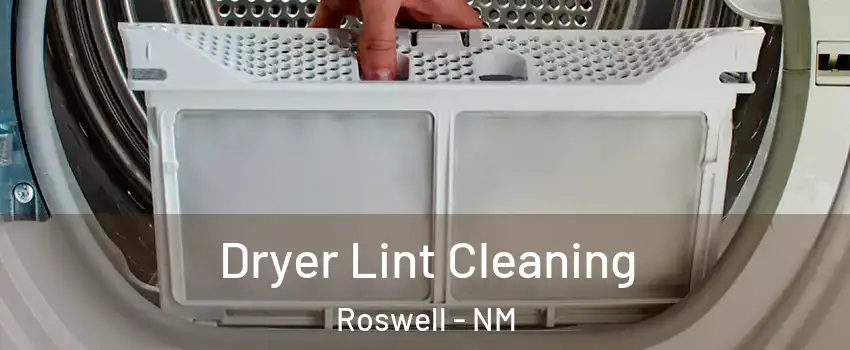  Dryer Lint Cleaning Roswell - NM