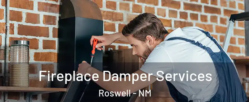  Fireplace Damper Services Roswell - NM