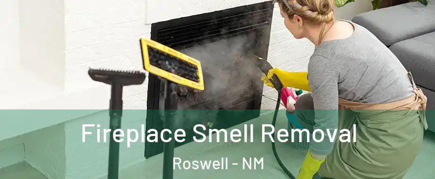  Fireplace Smell Removal Roswell - NM