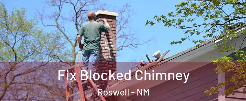  Fix Blocked Chimney Roswell - NM