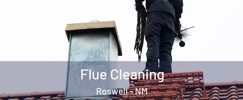  Flue Cleaning Roswell - NM