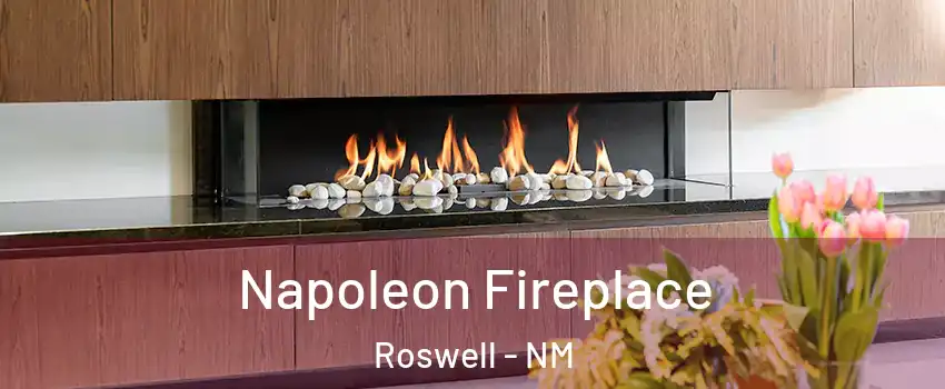  Napoleon Fireplace Roswell - NM