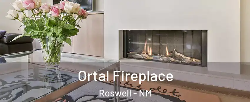  Ortal Fireplace Roswell - NM