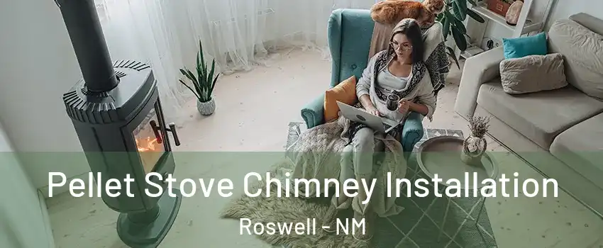  Pellet Stove Chimney Installation Roswell - NM